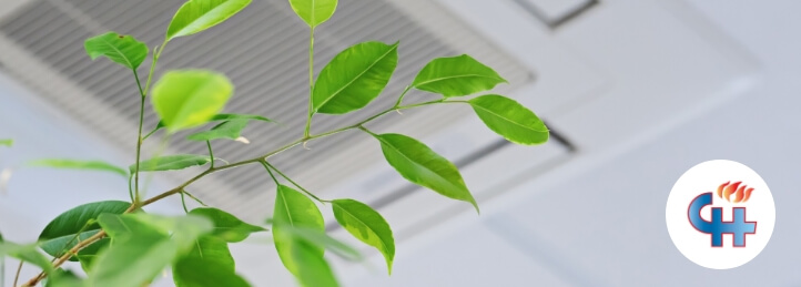 Indoor Air Quality Services in Arlington, WA